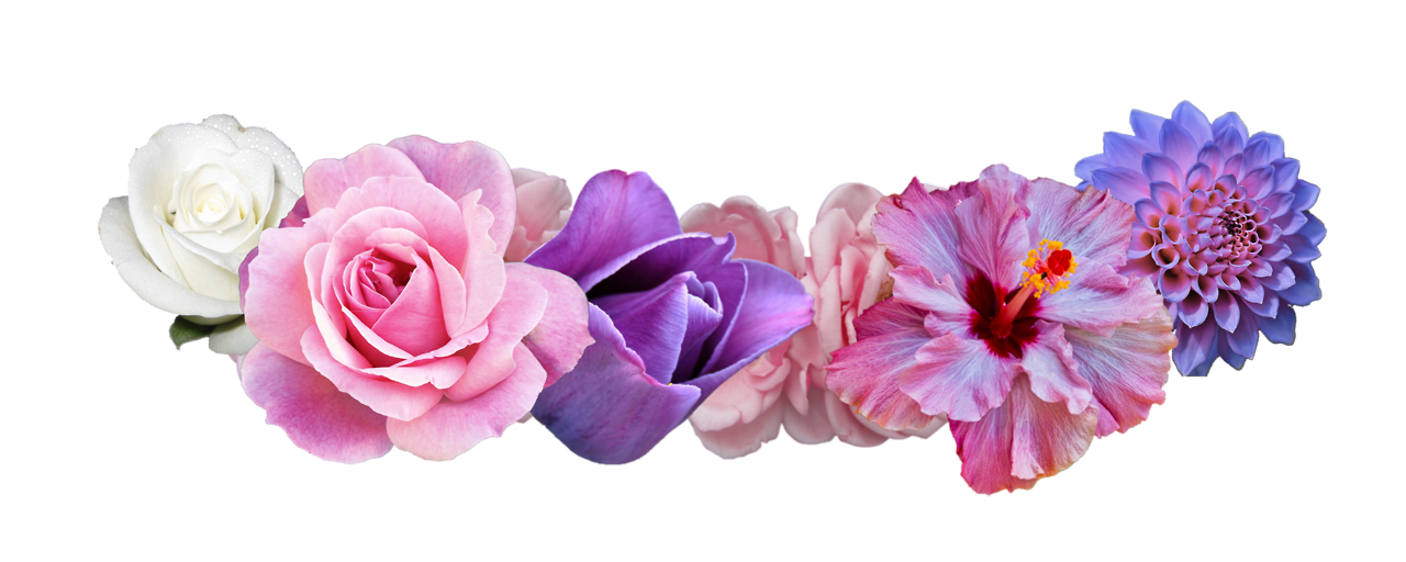 Flower Crown PNG Picture