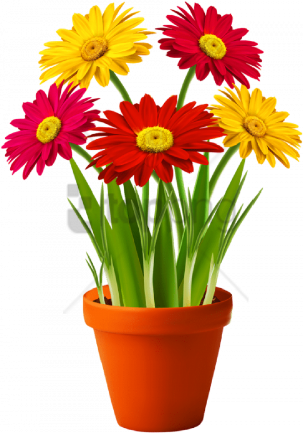 Flower Pot PNG Background Image