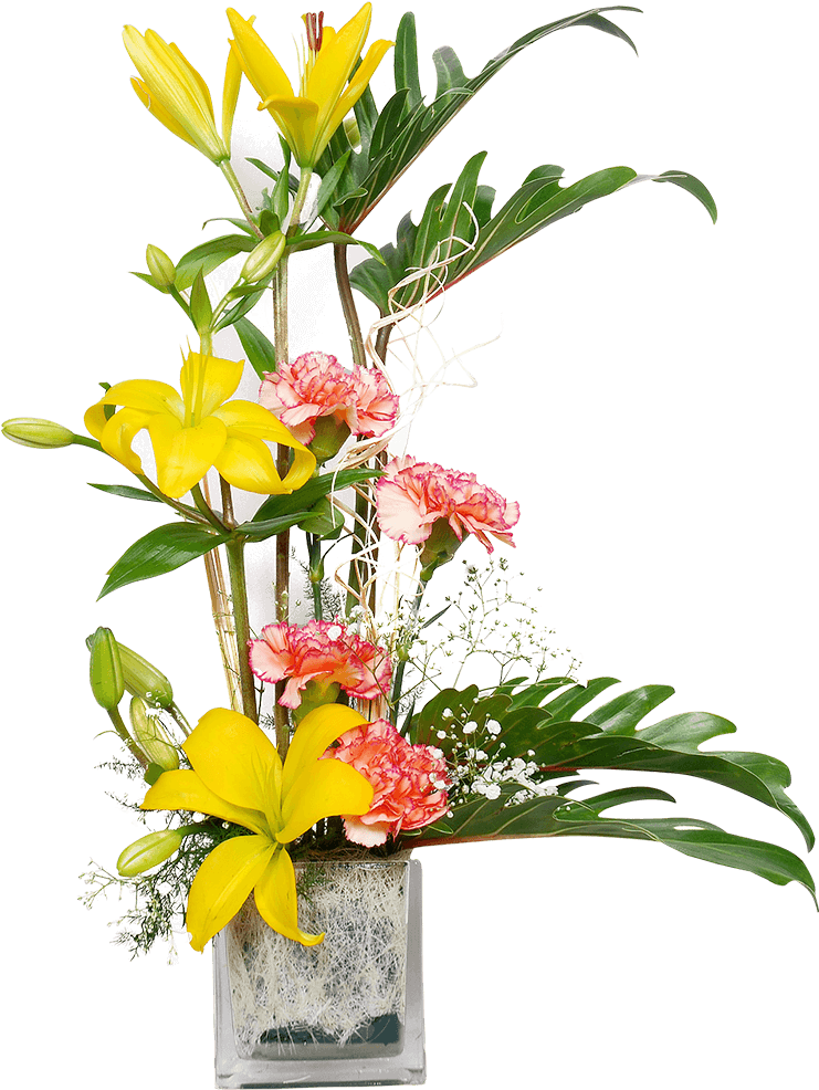 Imagem de alta qualidade de pote de flores PNG