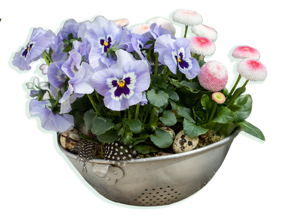 Flower Pot Transparent Images