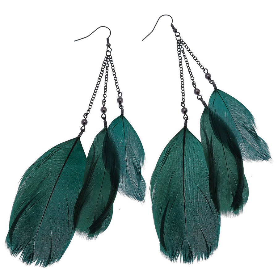 Hanging Earrings PNG Picture