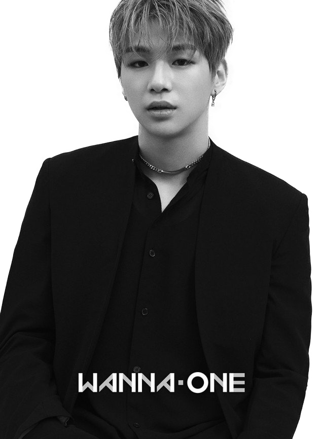 Kang Daniel Wanna One PNG Background Image