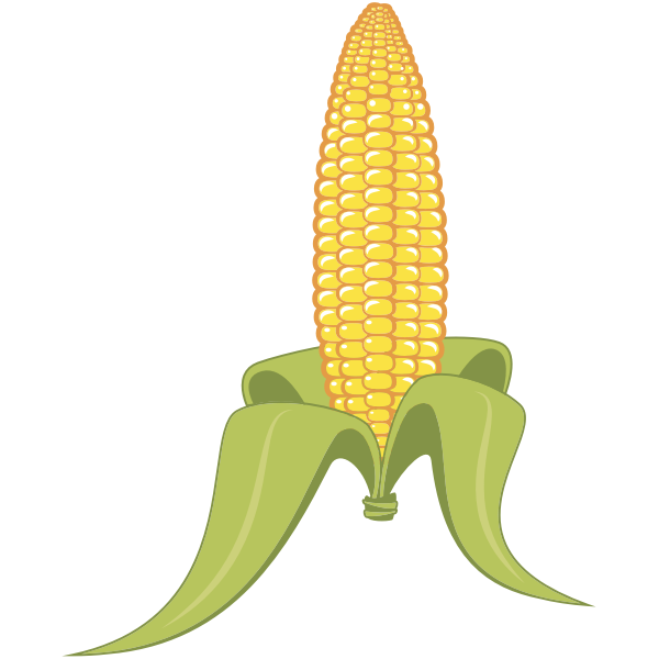 Maïs maïs op de cob tekening Gratis PNG-Afbeelding