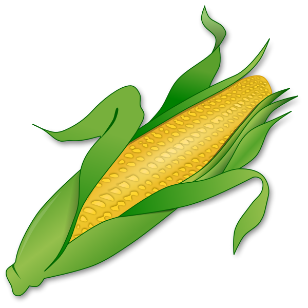 Maïs maïs op de cob tekening PNG hoogwaardige Afbeelding