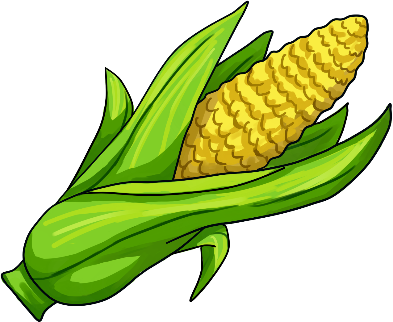 Maize Corn On The Cob Drawing PNG Transparent Image