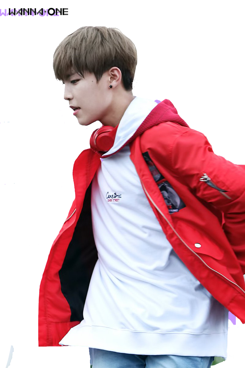Park Woojin Wanna One PNG Picture