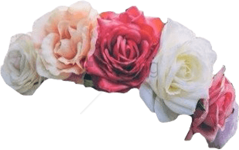 Rose Flower Crown PNG Image Background