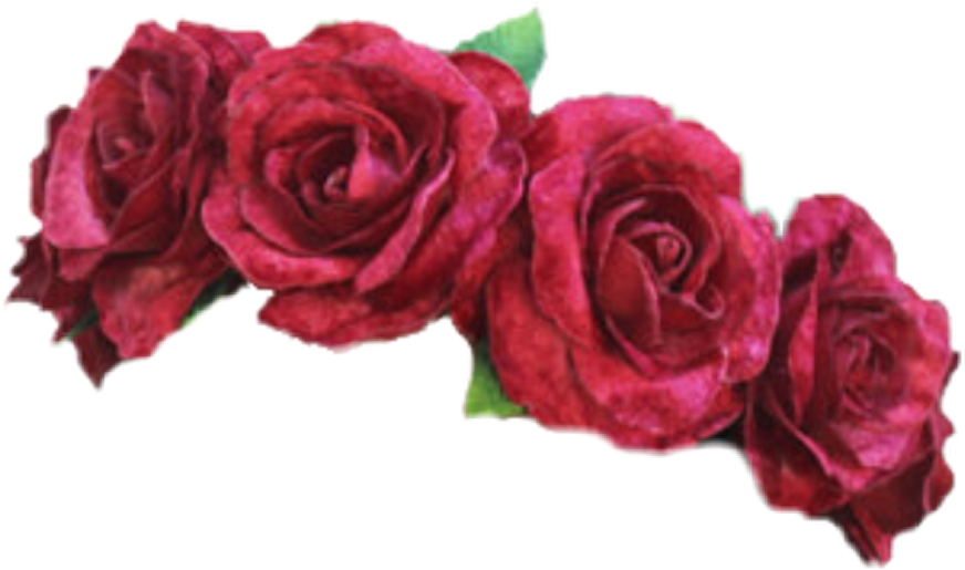 Rose Flower Crown Transparent Image