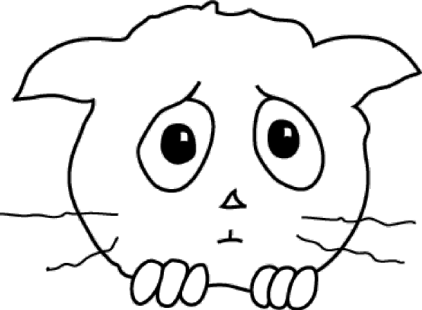 Vector Cat Cartoon Face PNG Image Background