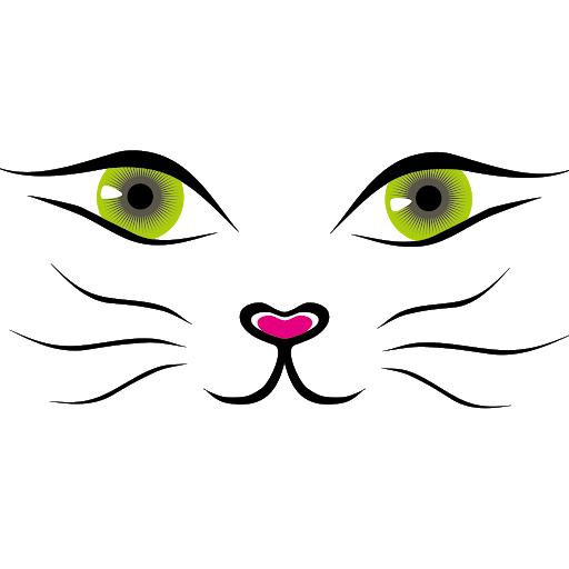 Vector Cat Cat Face PNG foto