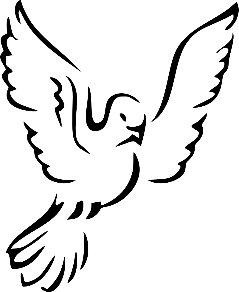 White Dove Download PNG Image