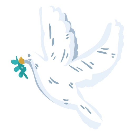White Dove PNG Download Image