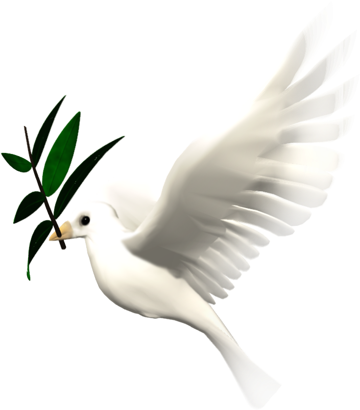 White Dove PNG Free Download | PNG Arts
