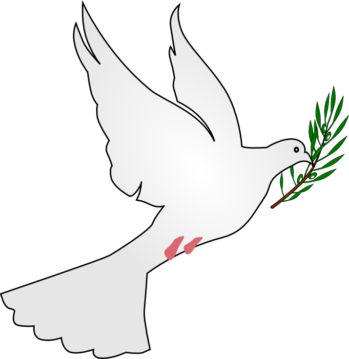 White Dove PNG Image Transparent