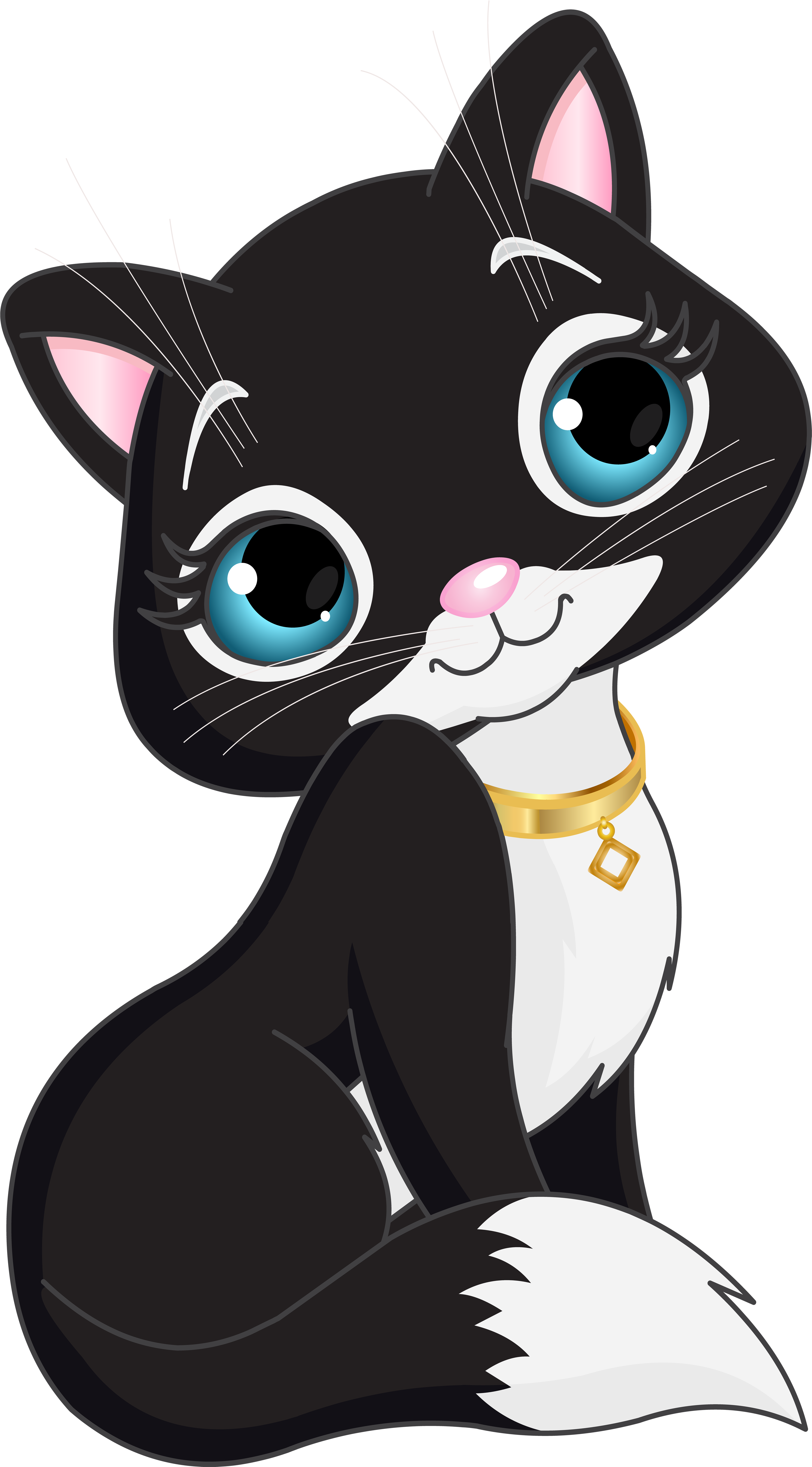 Черный котенок PNG прозрачный образ