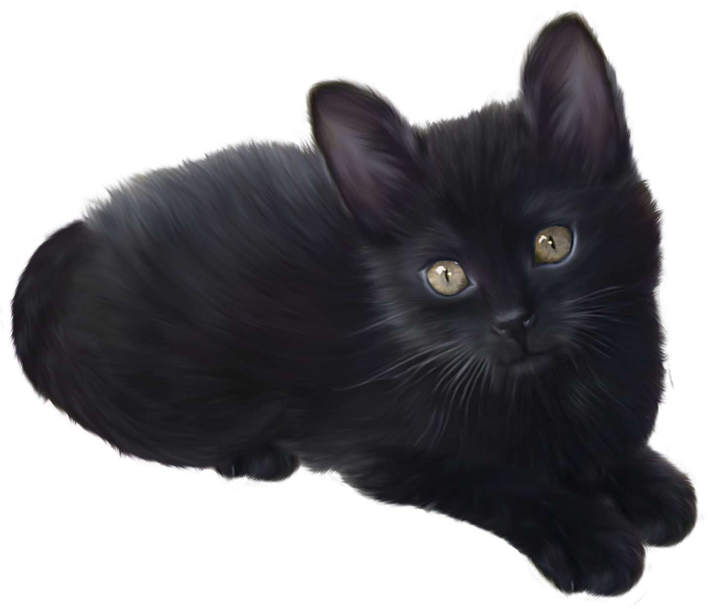 검은 새끼 고양이 투명 이미지