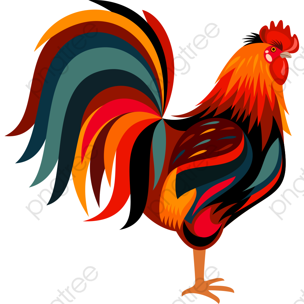 Cock PNG High-Quality Image