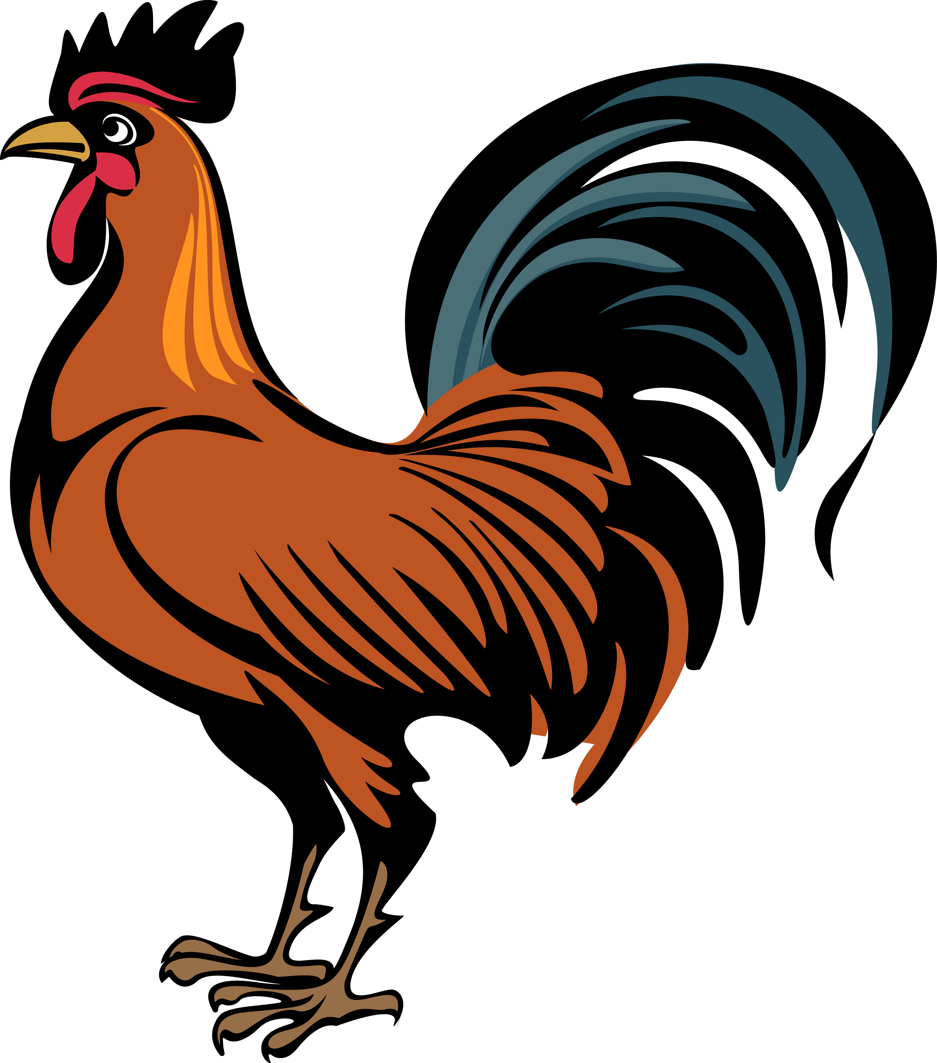 Cock PNG Transparent Image
