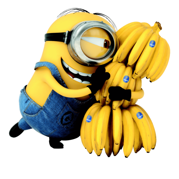 Despicable Me PNG High-Quality Image
