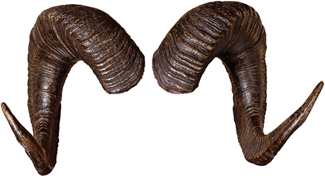 Teufelhörner PNG-transparentes Bild