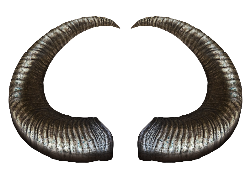 Horns domestiques PNG Télécharger limage