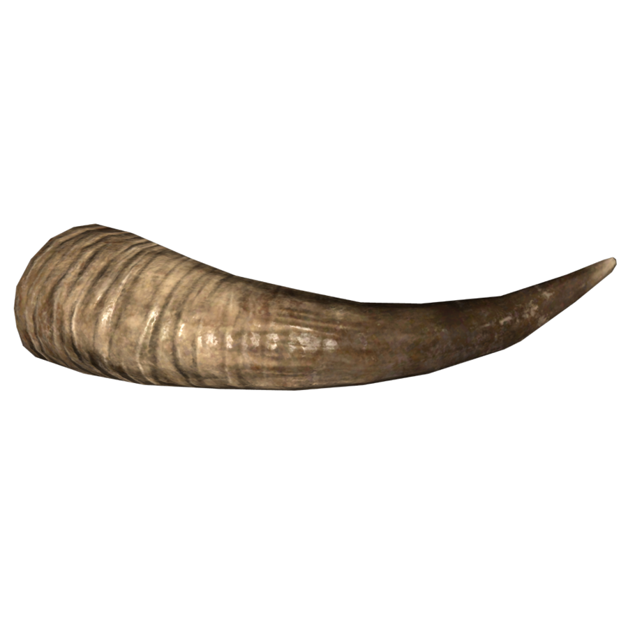 Horns domestiques PNG Image