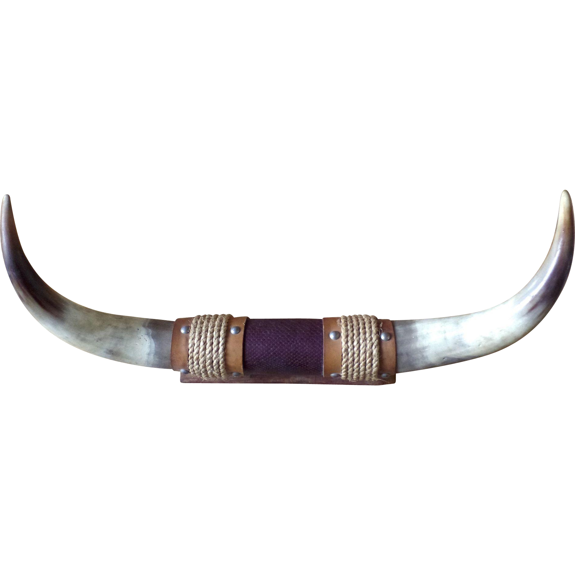 Domestic Horns PNG Photo