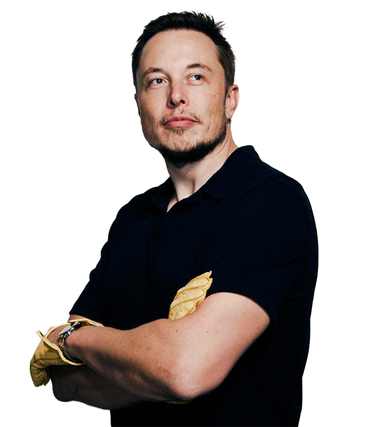 Elon musk PNG Gambar latar belakang