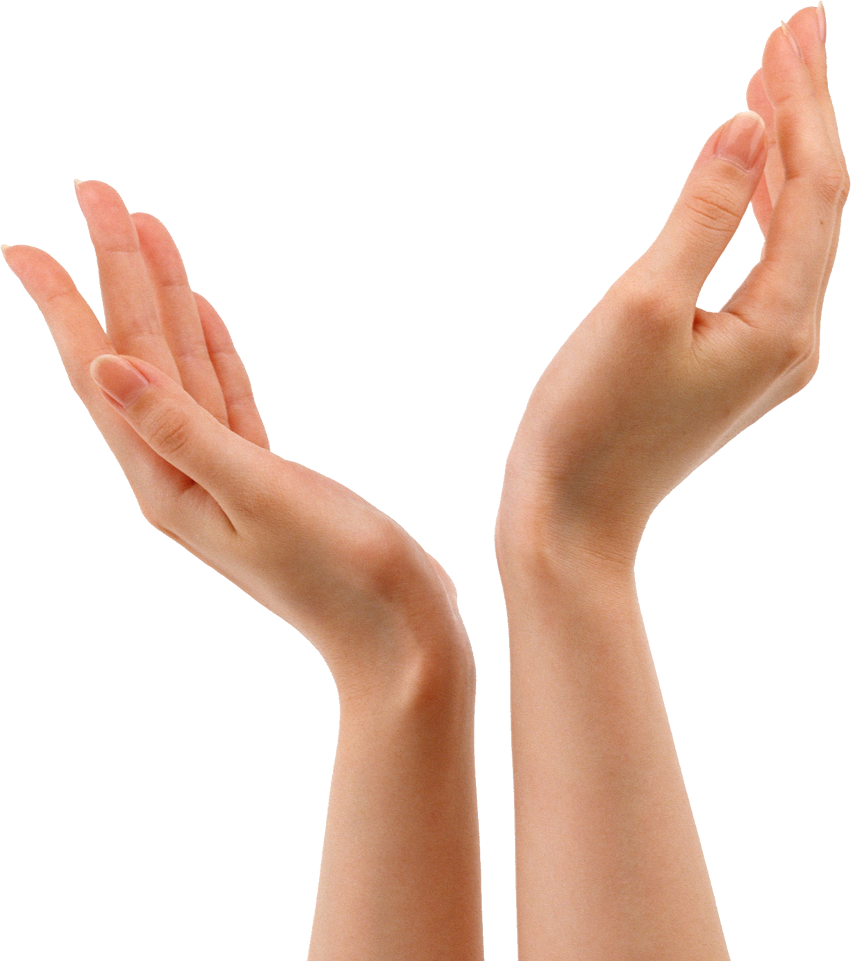 Female Hand PNG High-Quality Image