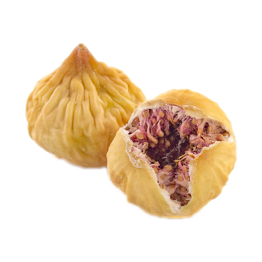 Fig PNG High-Quality Image