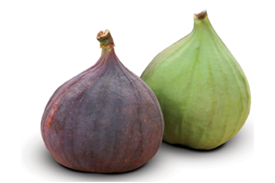 Fig PNG Photo
