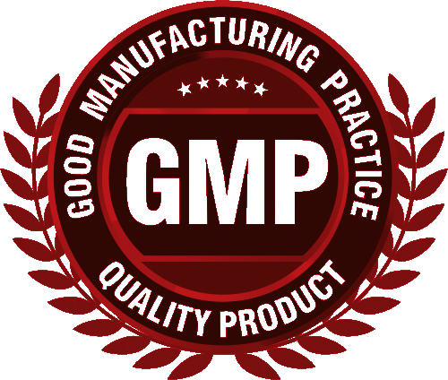 GMP Logo PNG Transparent Image