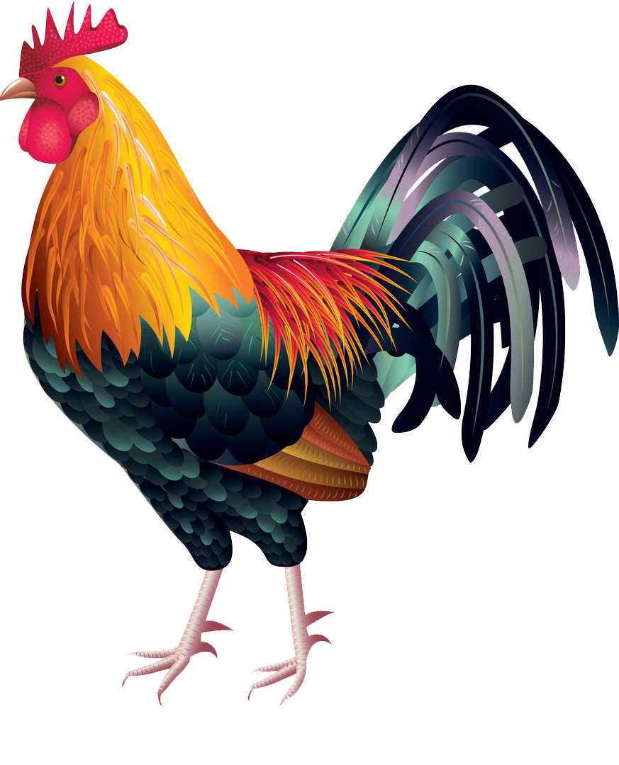 Gold Cock PNG Image