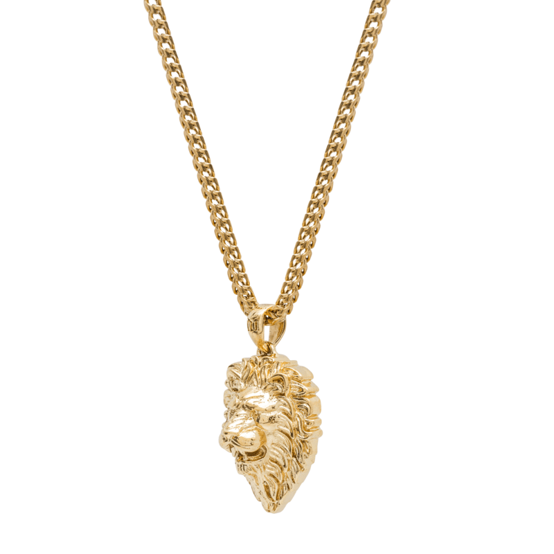 Gouden ketting PNG Pic