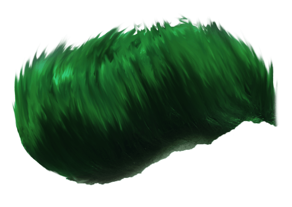 Green Hair Wig PNG Image