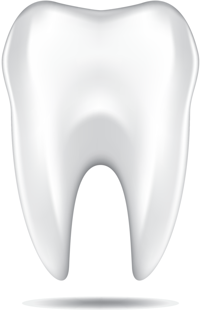 Imagem de download de PNG de dente saudável