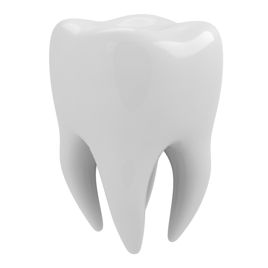 Healthy Tooth PNG Free Download