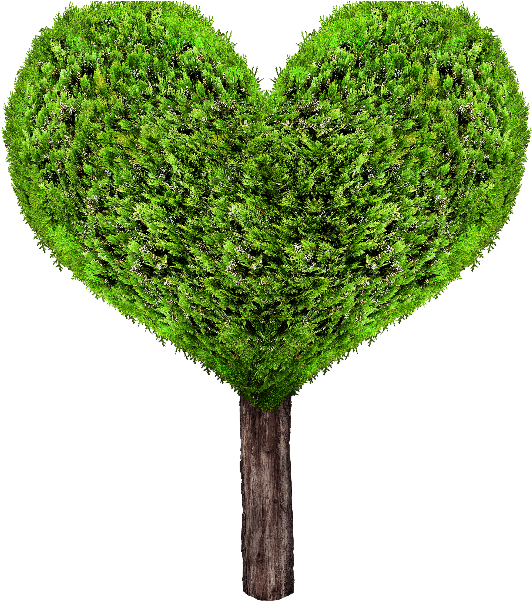 شجرة القلب PNG خلفية الصورة