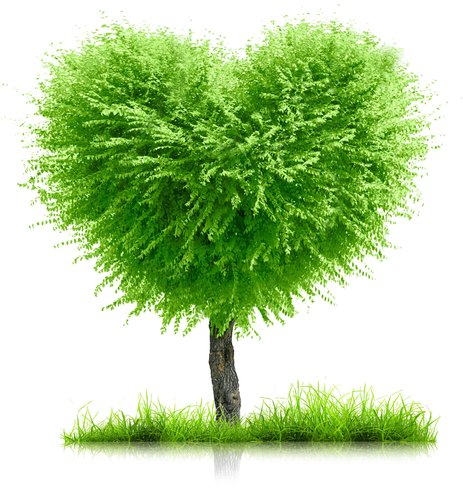 Heart Tree PNG Photo