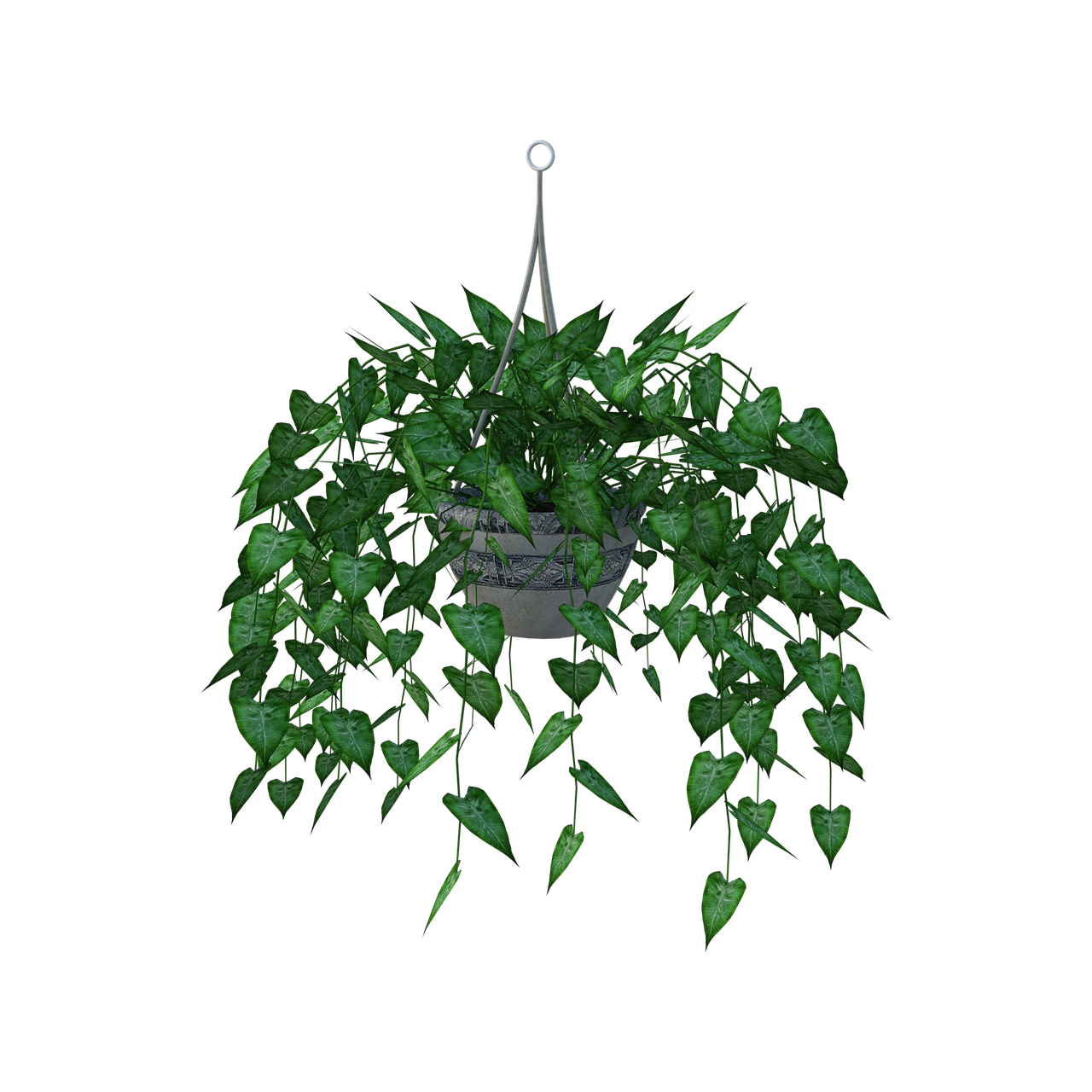 House Hanging Plant PNG Image