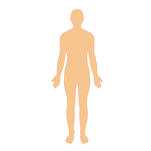 Human Body Clipart PNG Image Background
