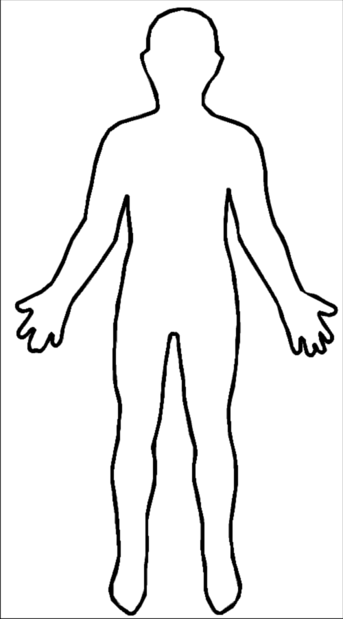Human Body Clipart PNG Photo