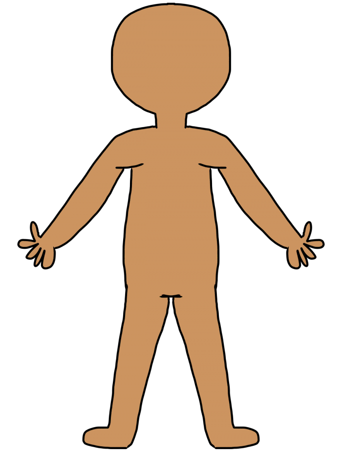 Imagen del cuerpo humano. Imagen Transparente