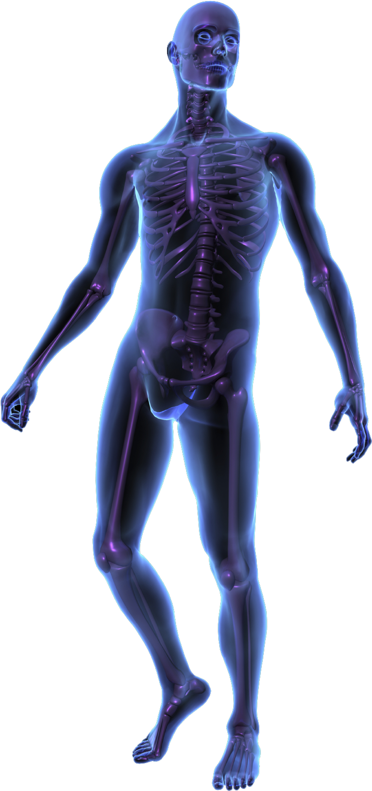 Человеческое тело PNG Скачать изображение
