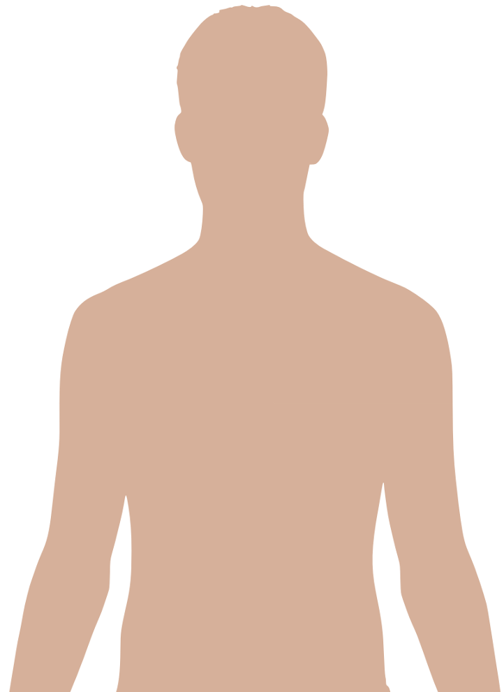 Система человека тела PNG изображения