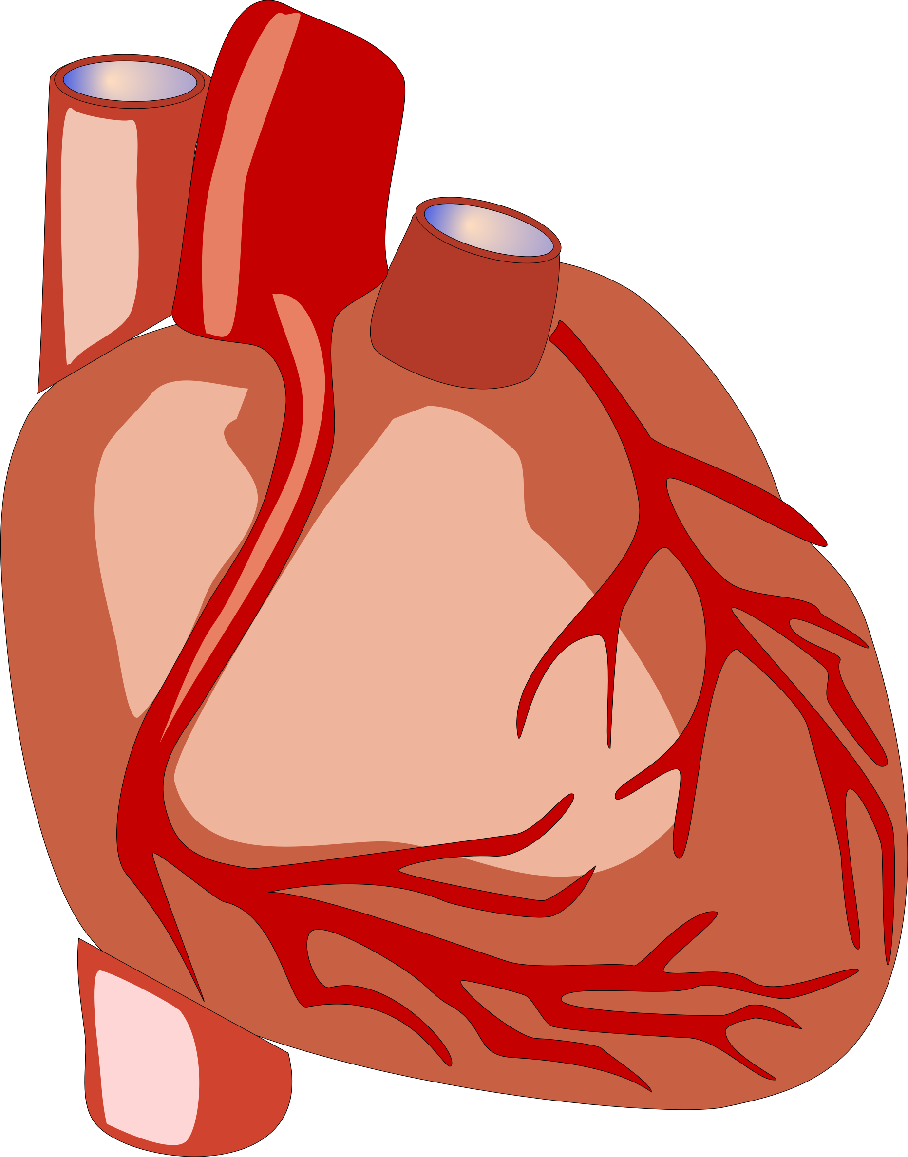 Human Heart PNG Image Background