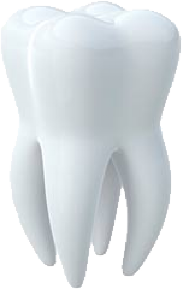 Human Tooth PNG Free Download