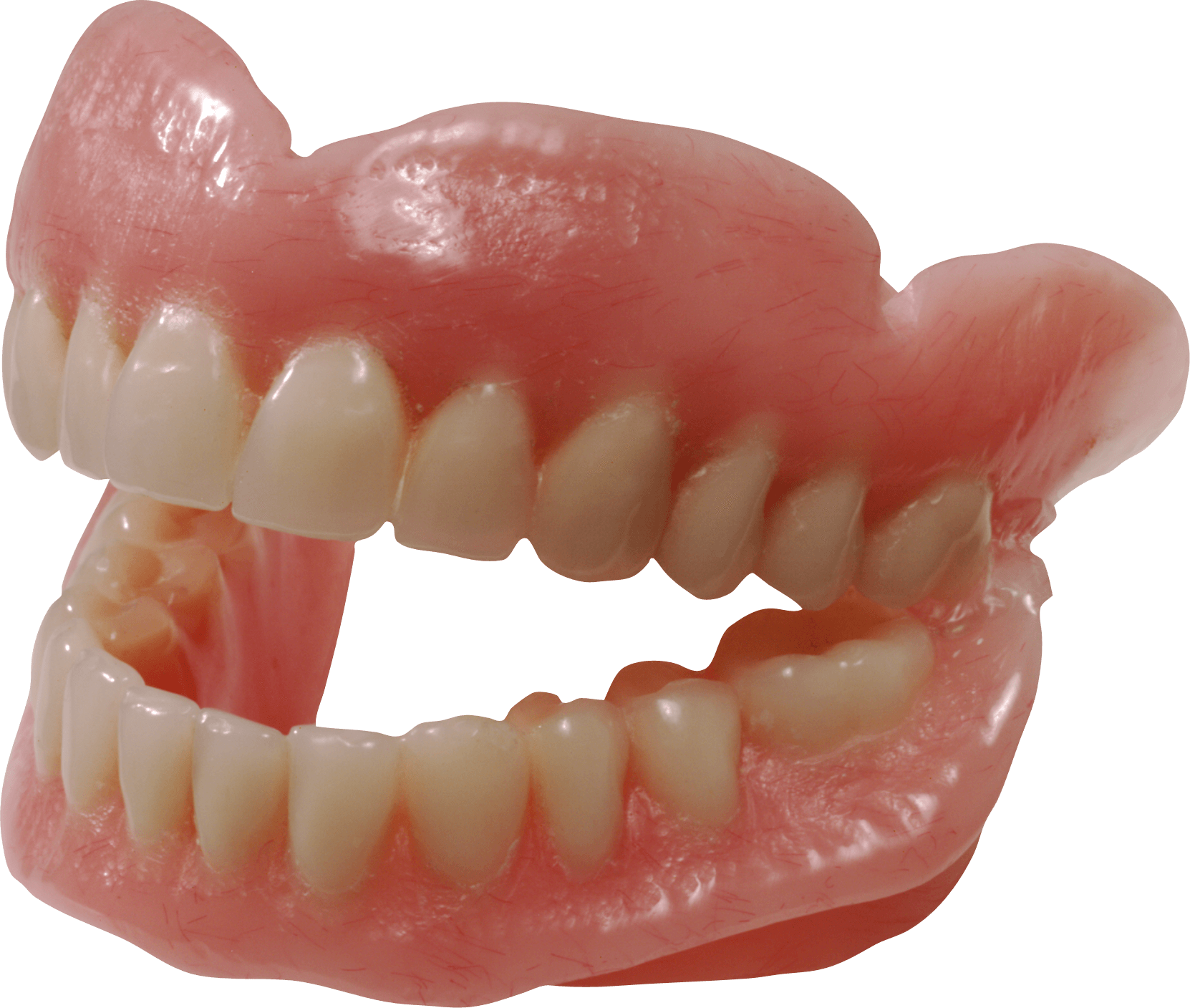 الأسنان البشرية PNG صورة عالية الجودة