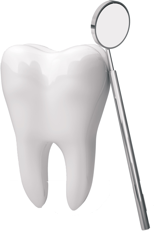 Imagen PNG del diente humano
