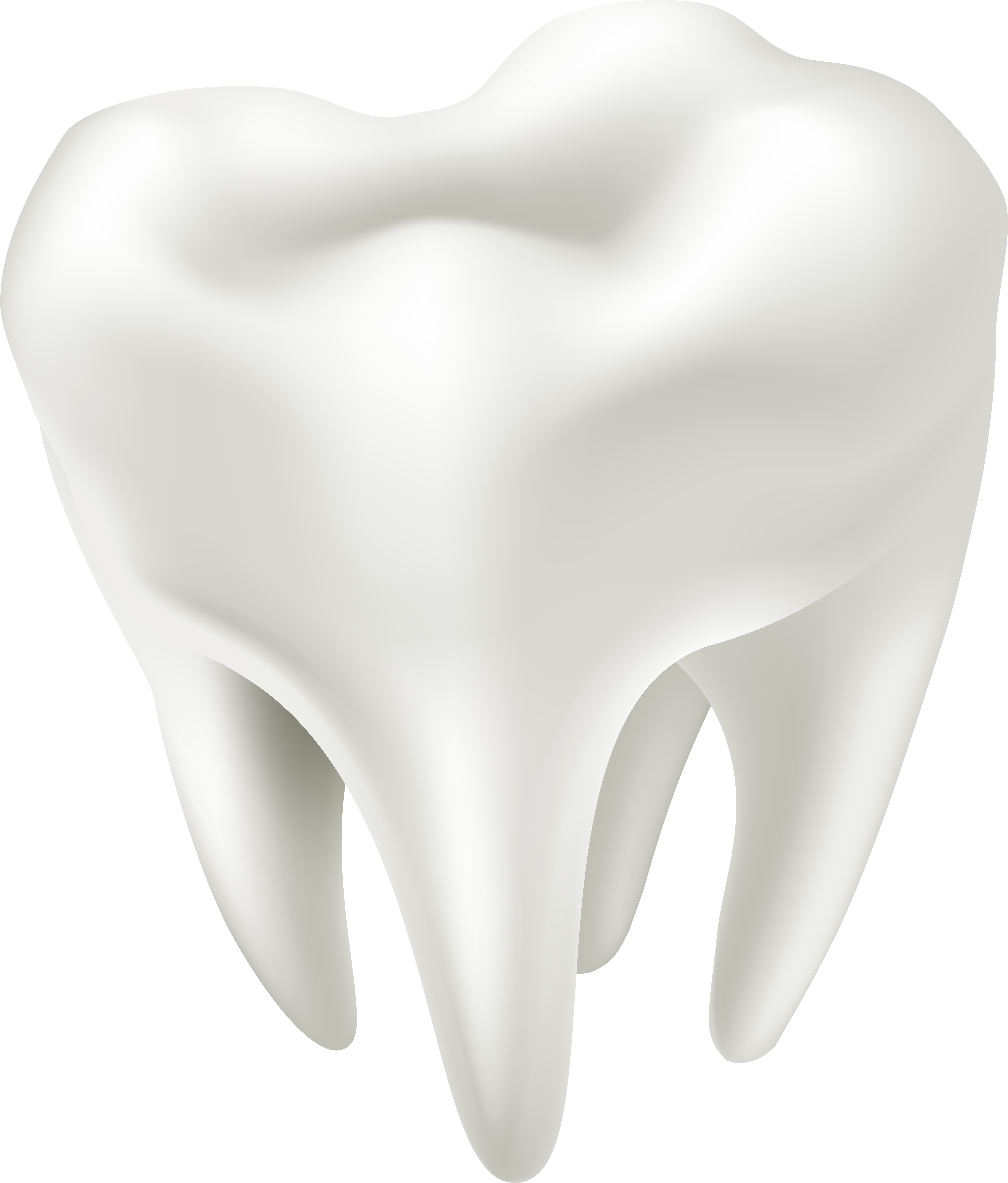 Human Tooth PNG Photo